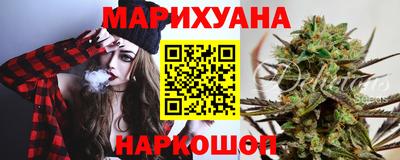 a pvp Новодвинск